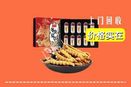 高淳区回收冬虫夏草